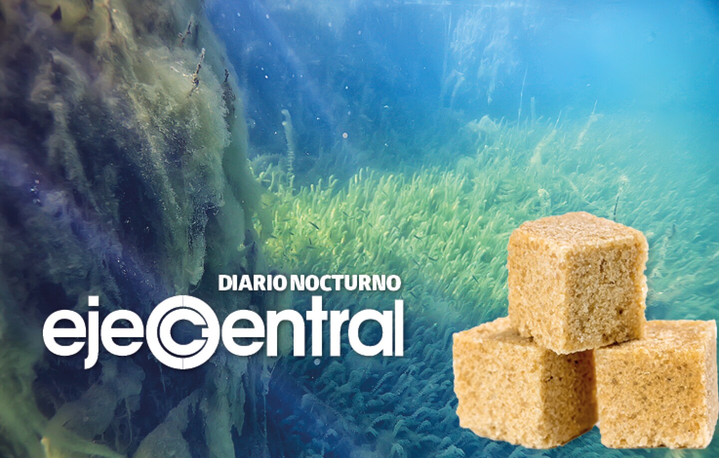 Promo_591_Montañas de azúcar escondidas en el océano