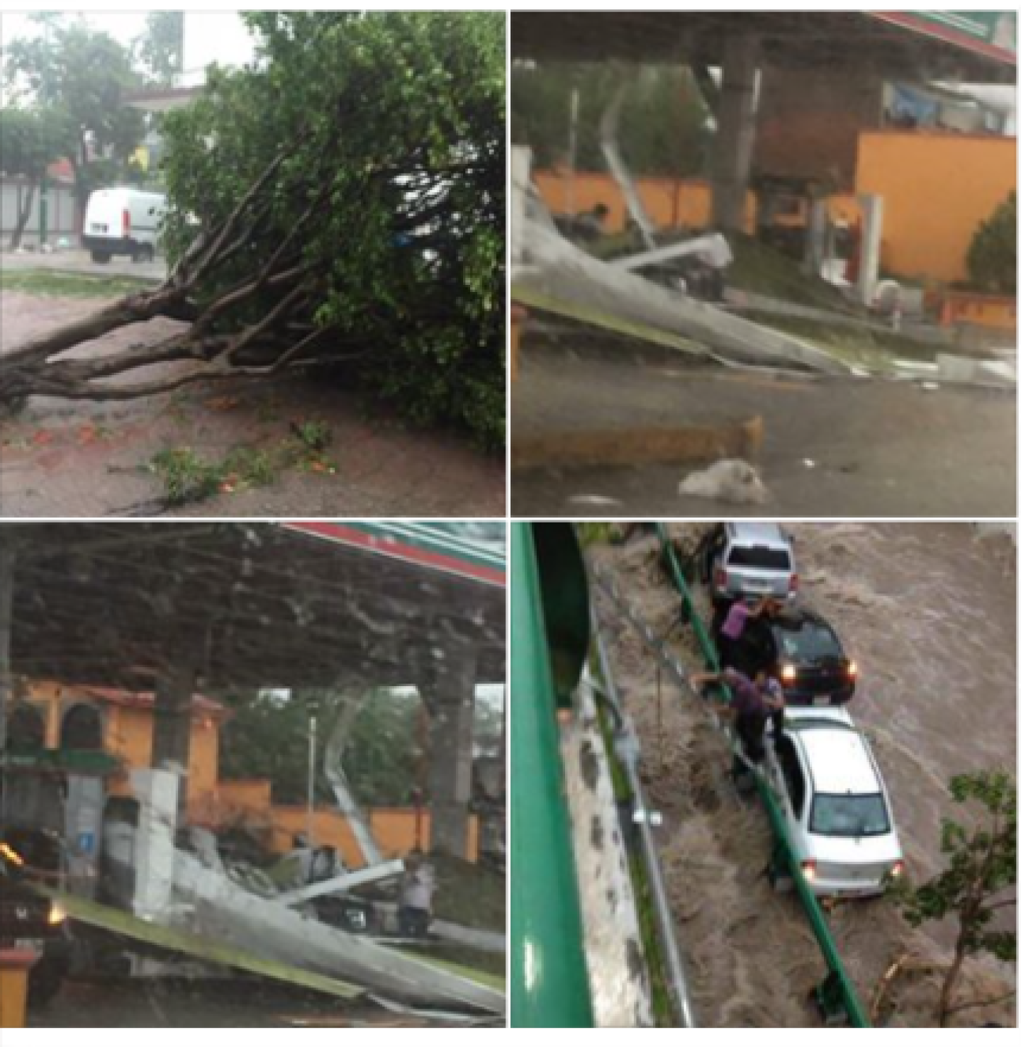 lluvias_tuxtlagtz