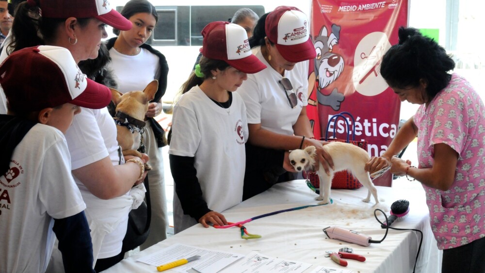 WhatsApp Image 2024-07-21 at 3.34.38 PM (5).jpeg