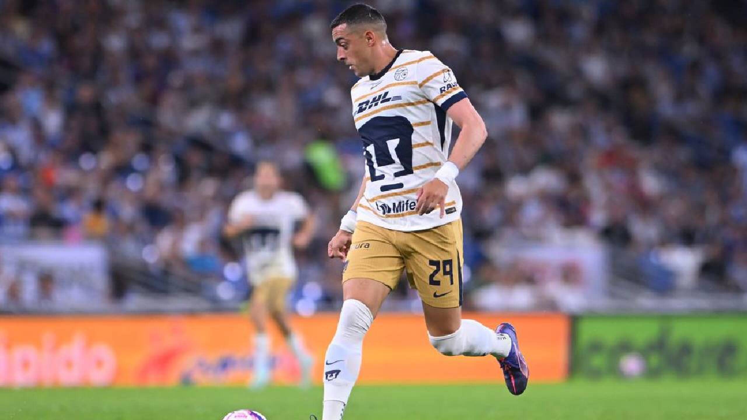 Pumas