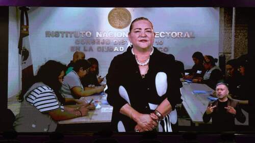 guadalupe-taddei-ine-resultados-eleccion-judicial.jpg