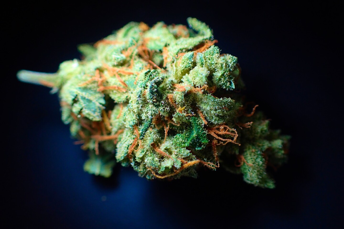 addiction-3792495_1280