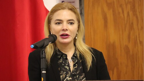 carla-humphrey-jordan-ine-tepjf-consejera-presidente