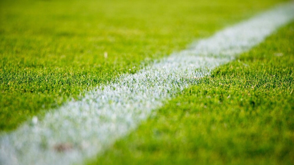 grass-g43da48515_1280