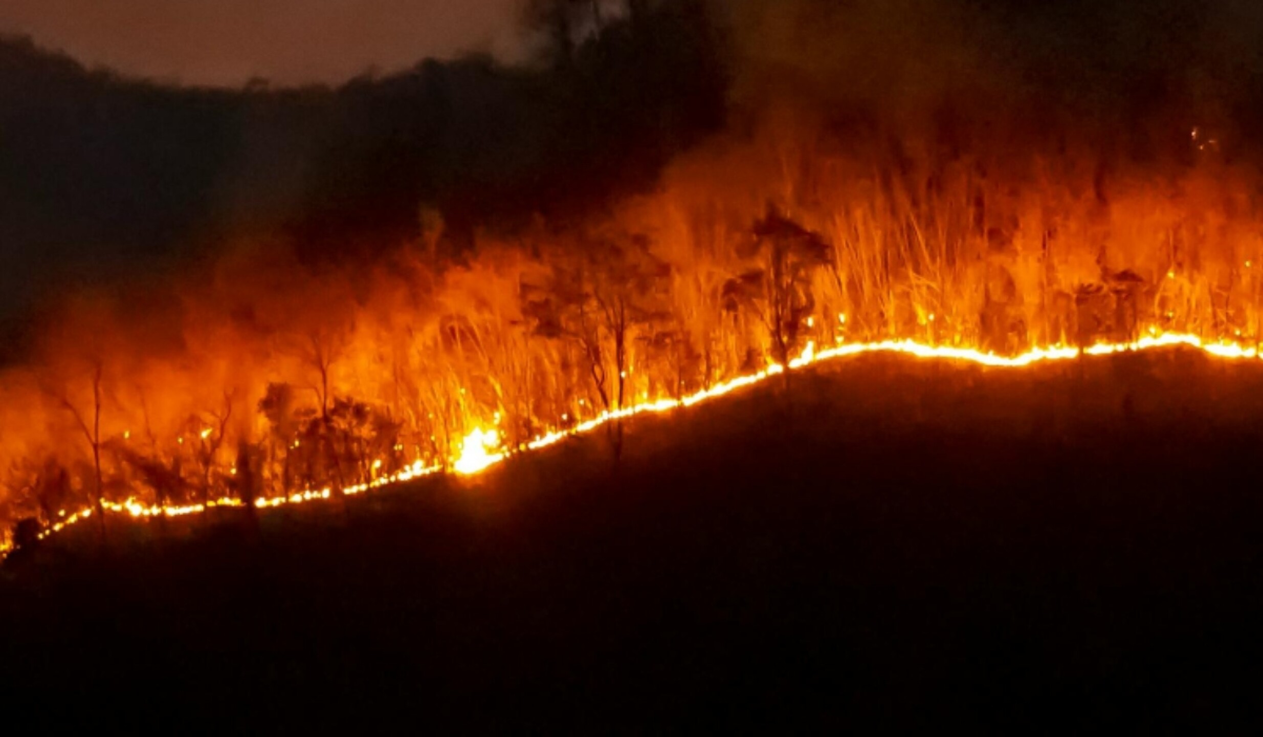 incendio en australia.jpg