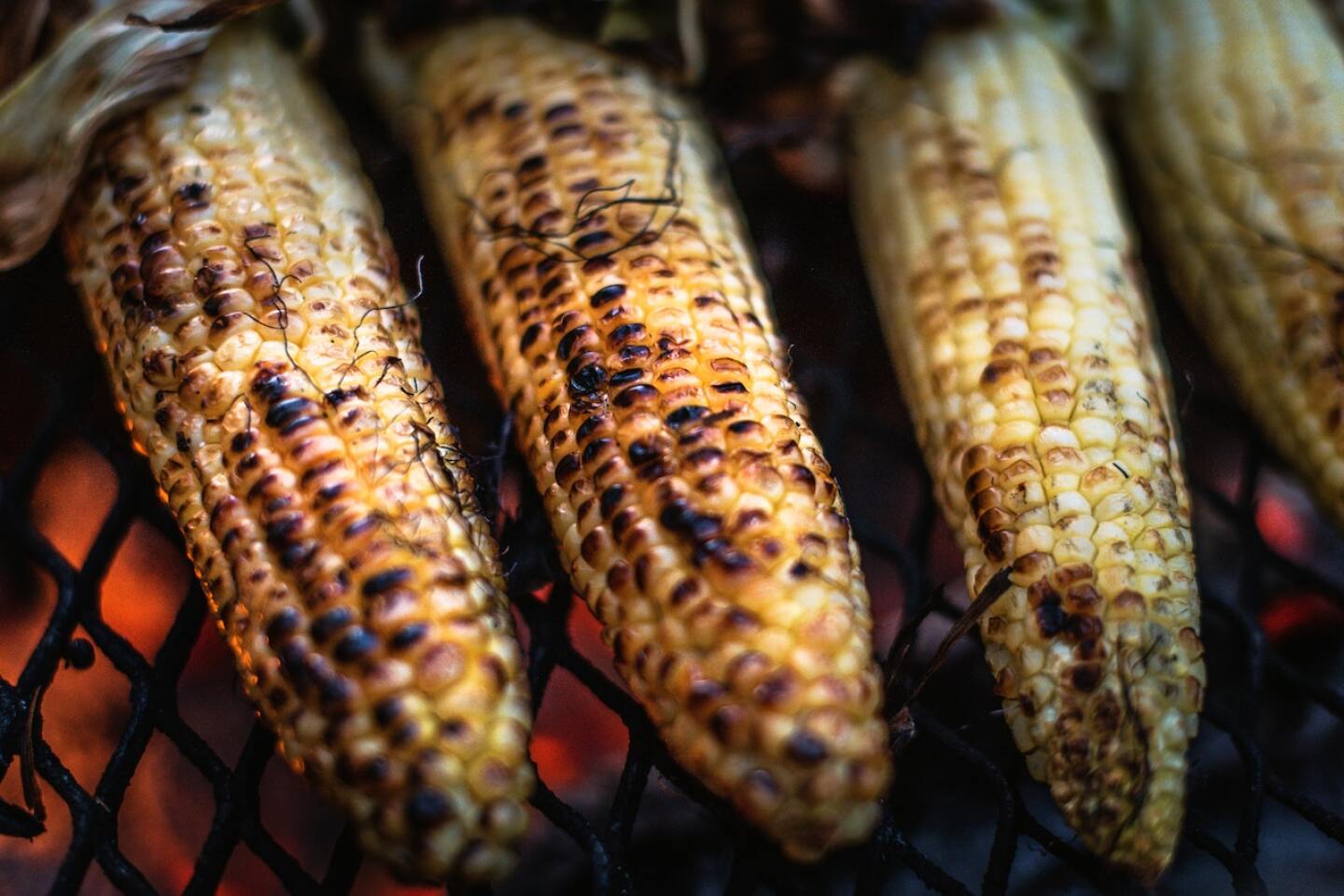 feria del maiz y la milpa zocalo cdmx