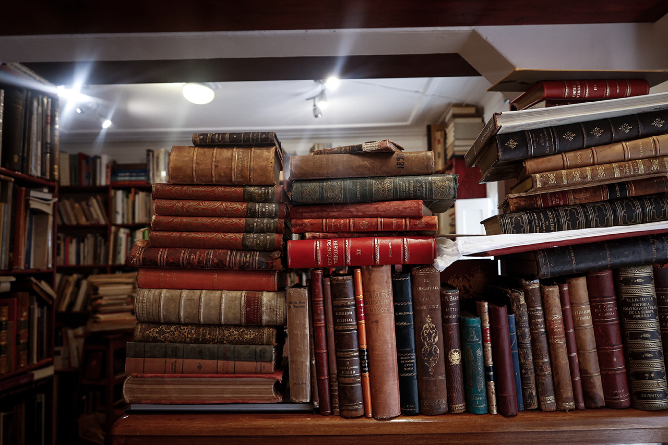 libreria-oculta-cdmx-burro-culto-dia-del-libro-4