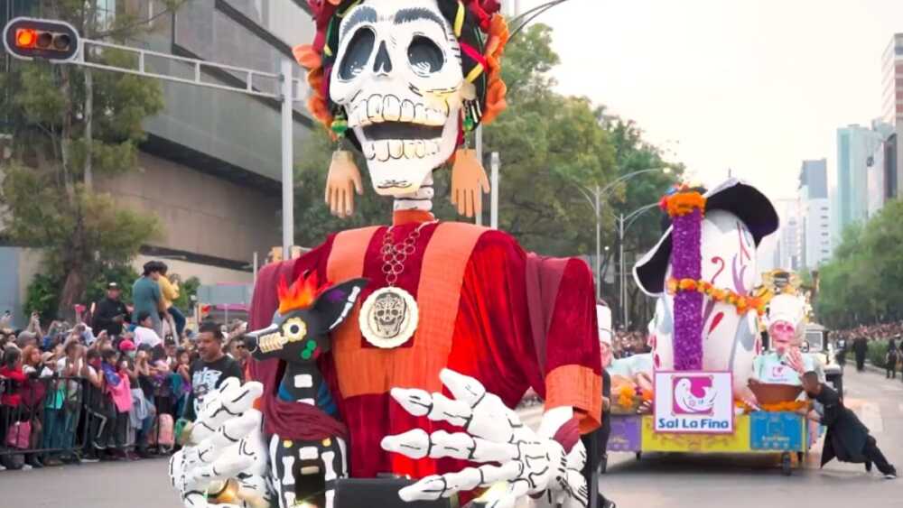 WhatsApp Image 2025-10-31 at 6.17.44 PM.jpeg