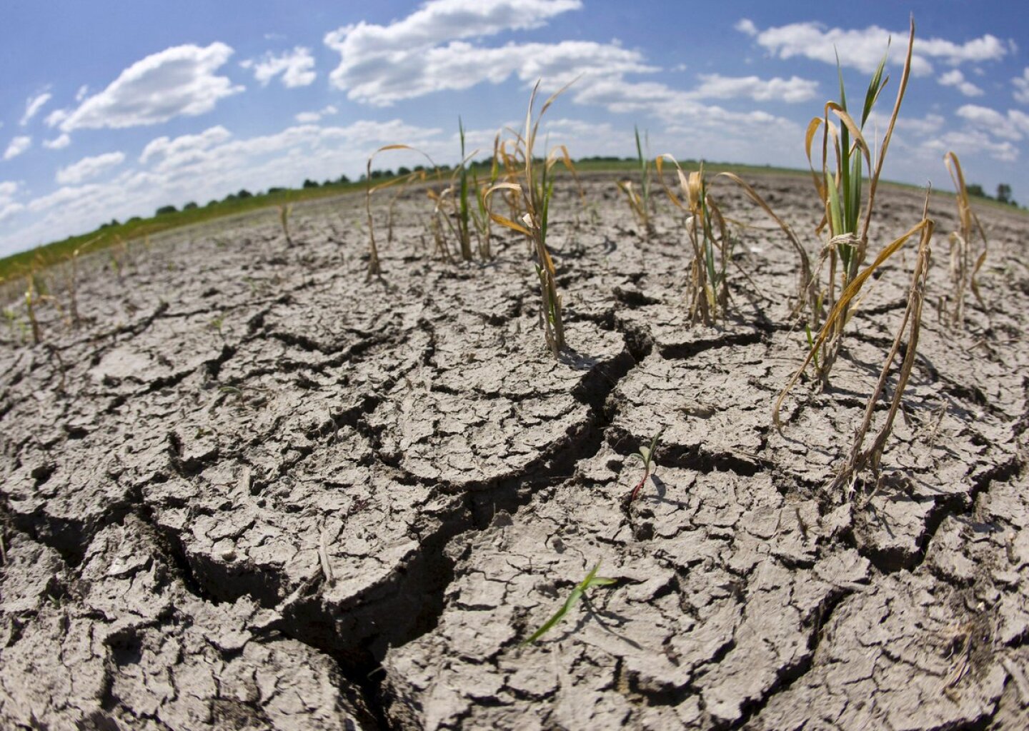 cambio-climatico