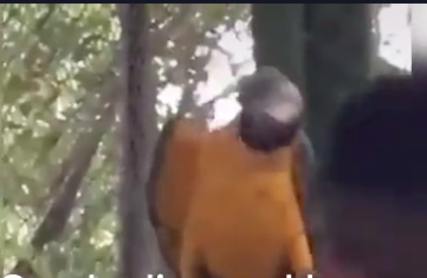 Captura-de-pantalla-2020-01-13-a-las-10.27.53-p.m.