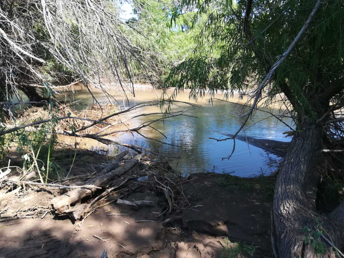 Río Sonora