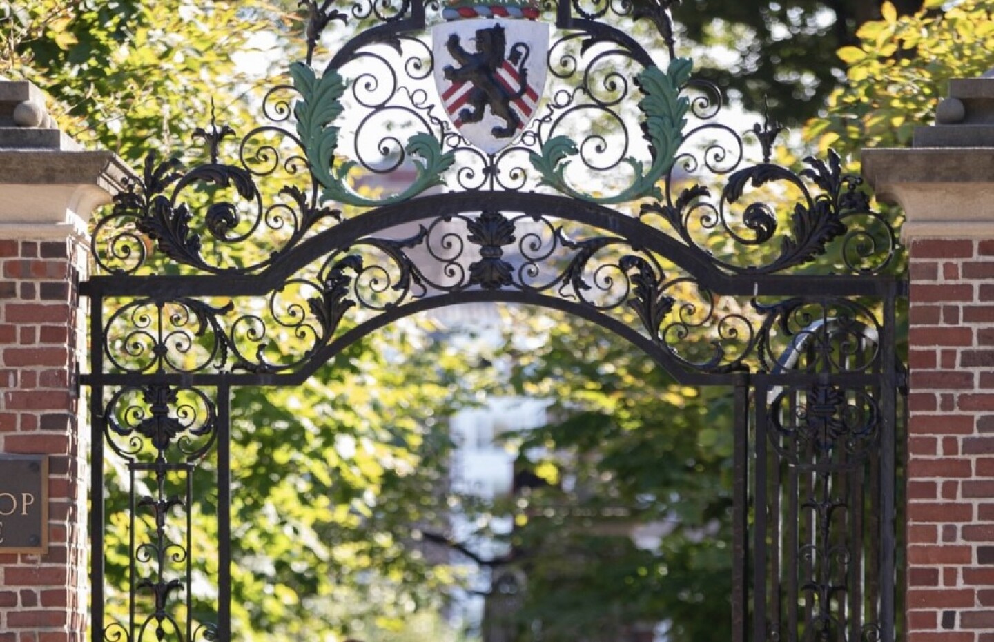 Harvard estudiantes extranjeros