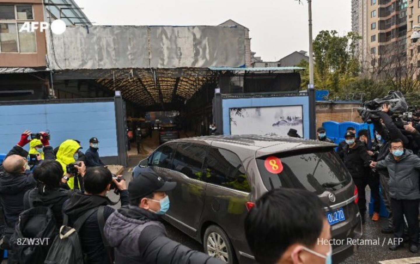 expertos_oms_mercado_wuhan_covid_19