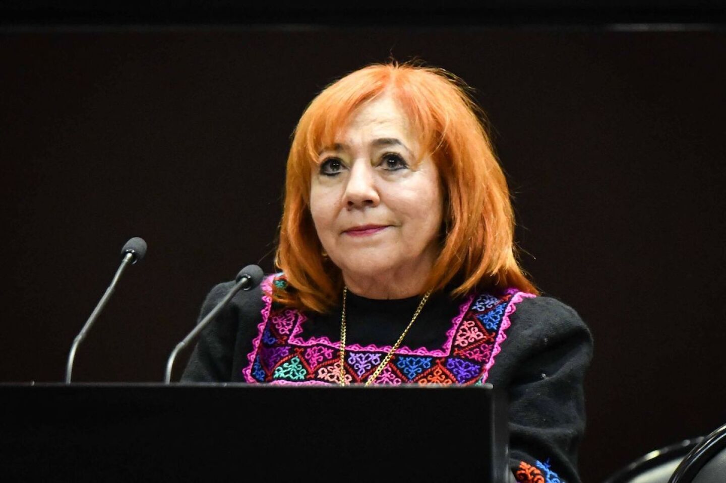 Informe CNDH Diputados