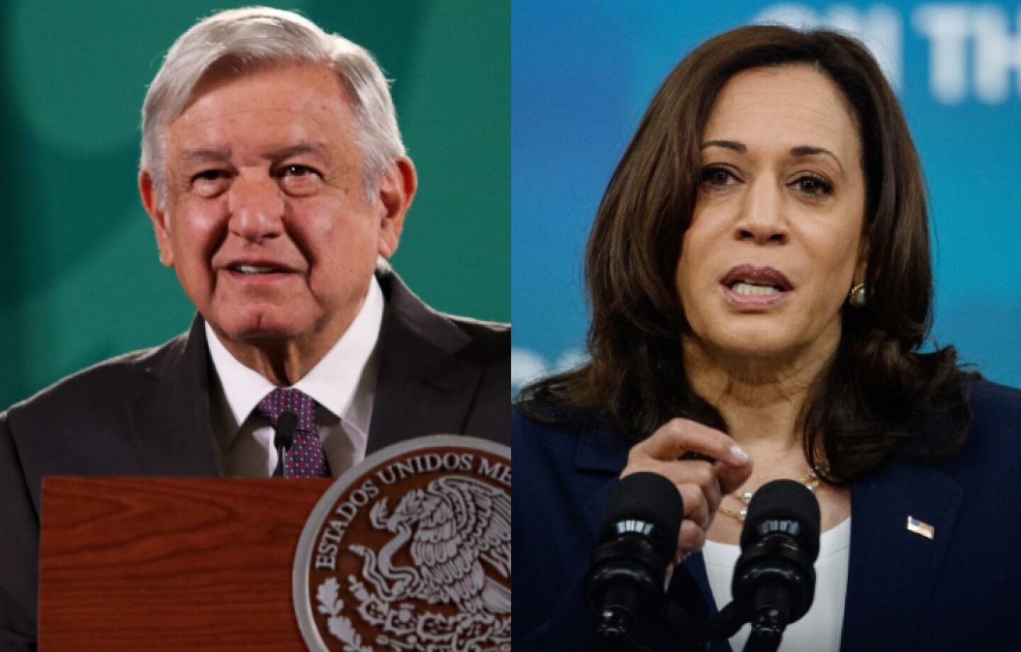 Extensión de _Sembrando vida_, en la agenda AMLO y Kamala Harris