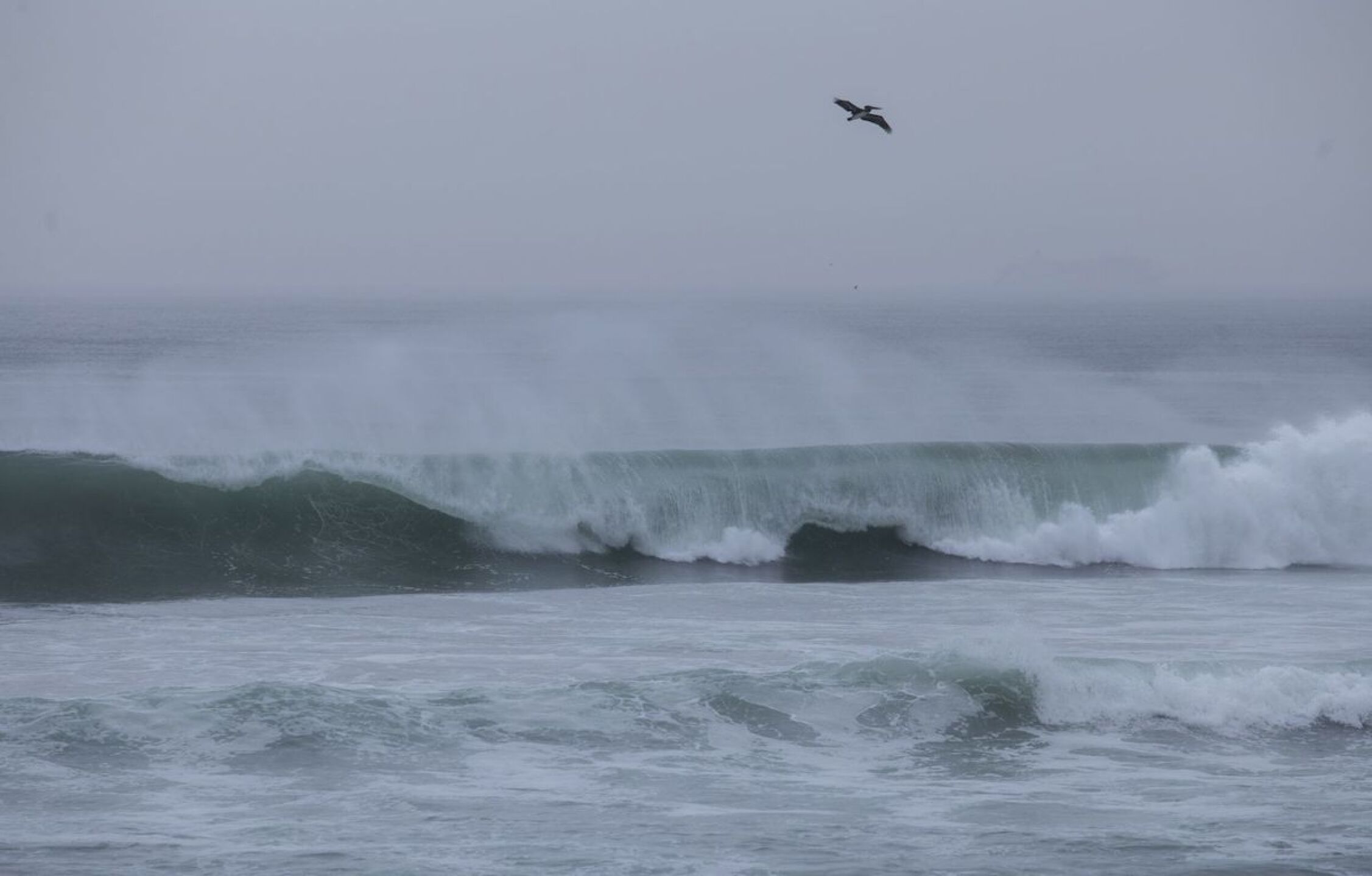 Alerta Tsunami Pacífico