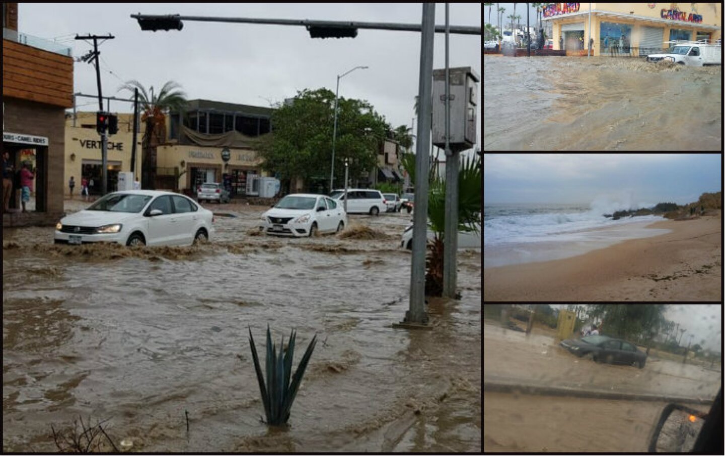collage lluvias BCS