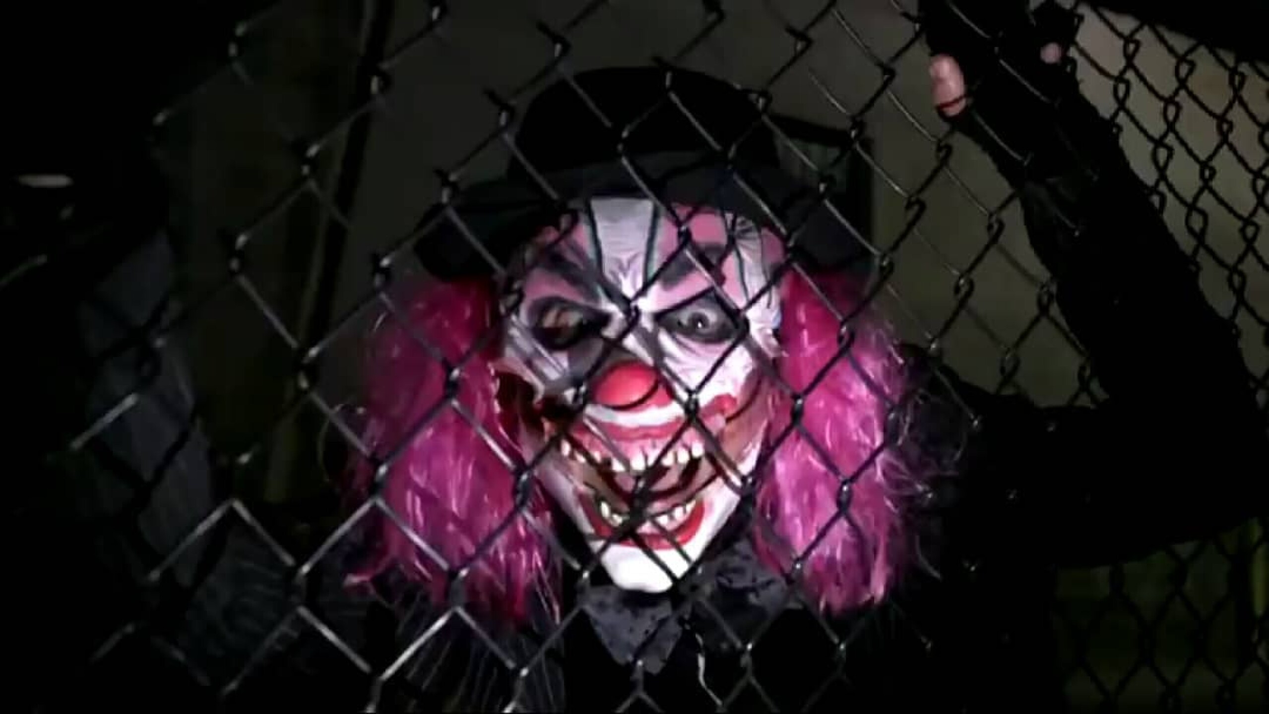 31712096_1804489889857680_3154199612537962496_n