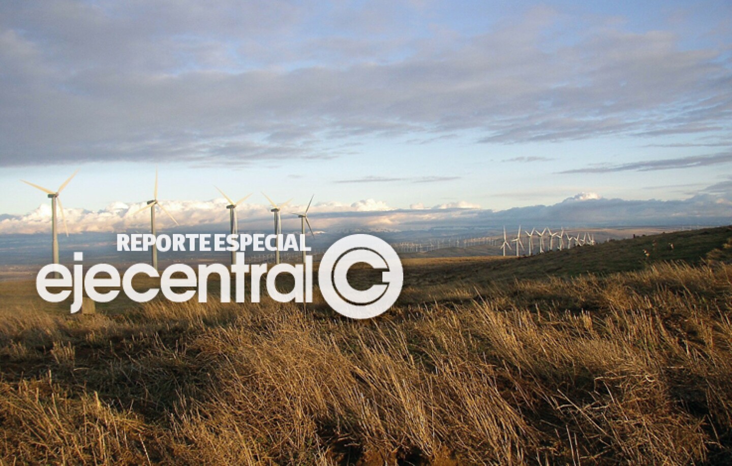 Promo_484_Cop26- 12 países firman para no emisiones