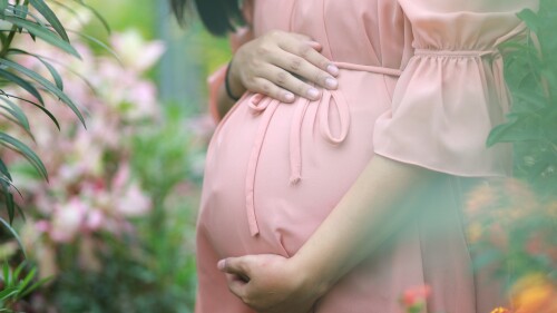 pregnant-gffd3d295e_1280
