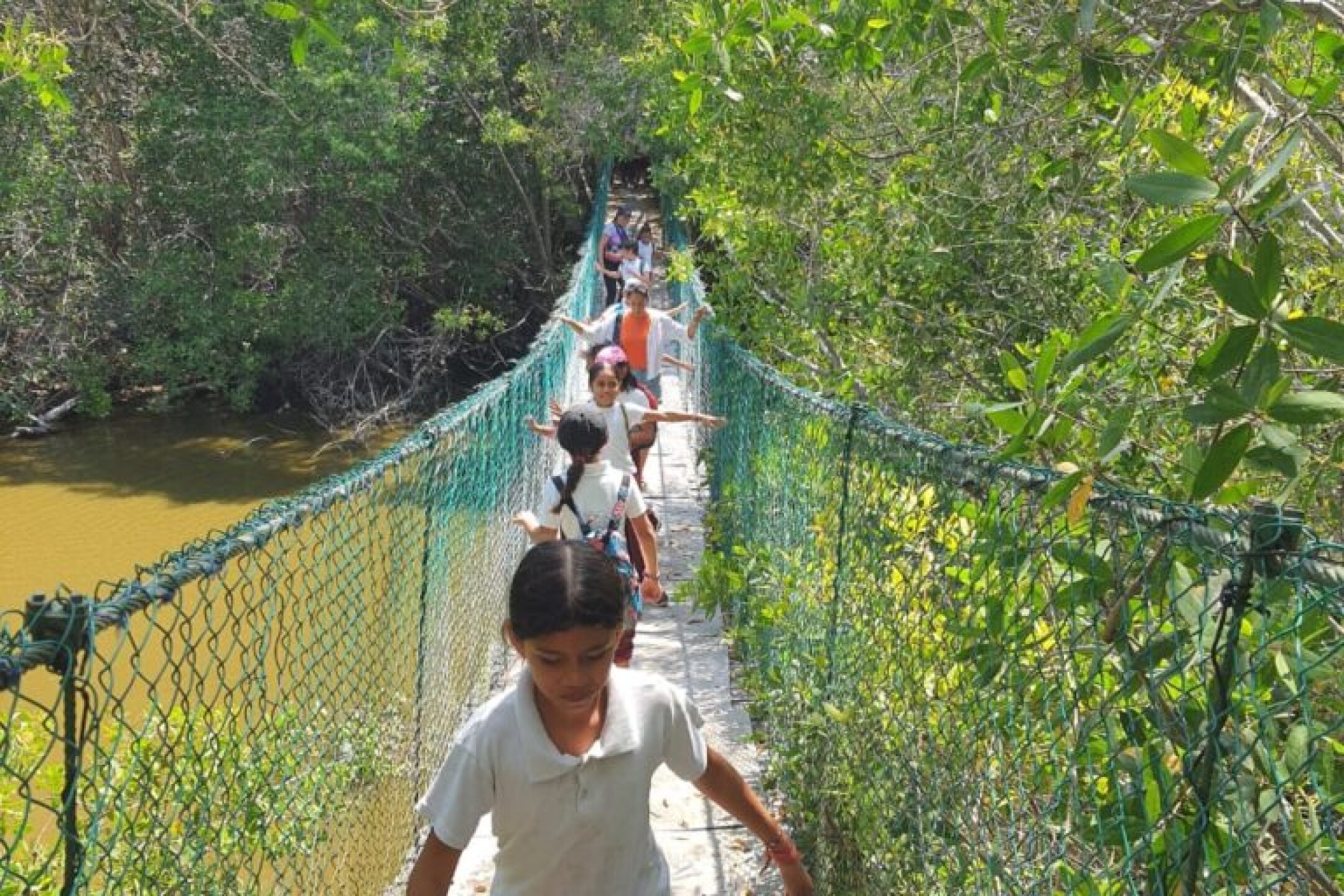 Proyecto-el-estero-Manzanilla