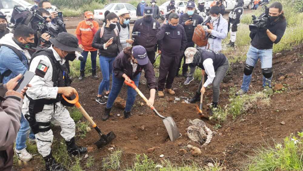 WhatsApp Image 2022-02-16 at 1.31.03 PM