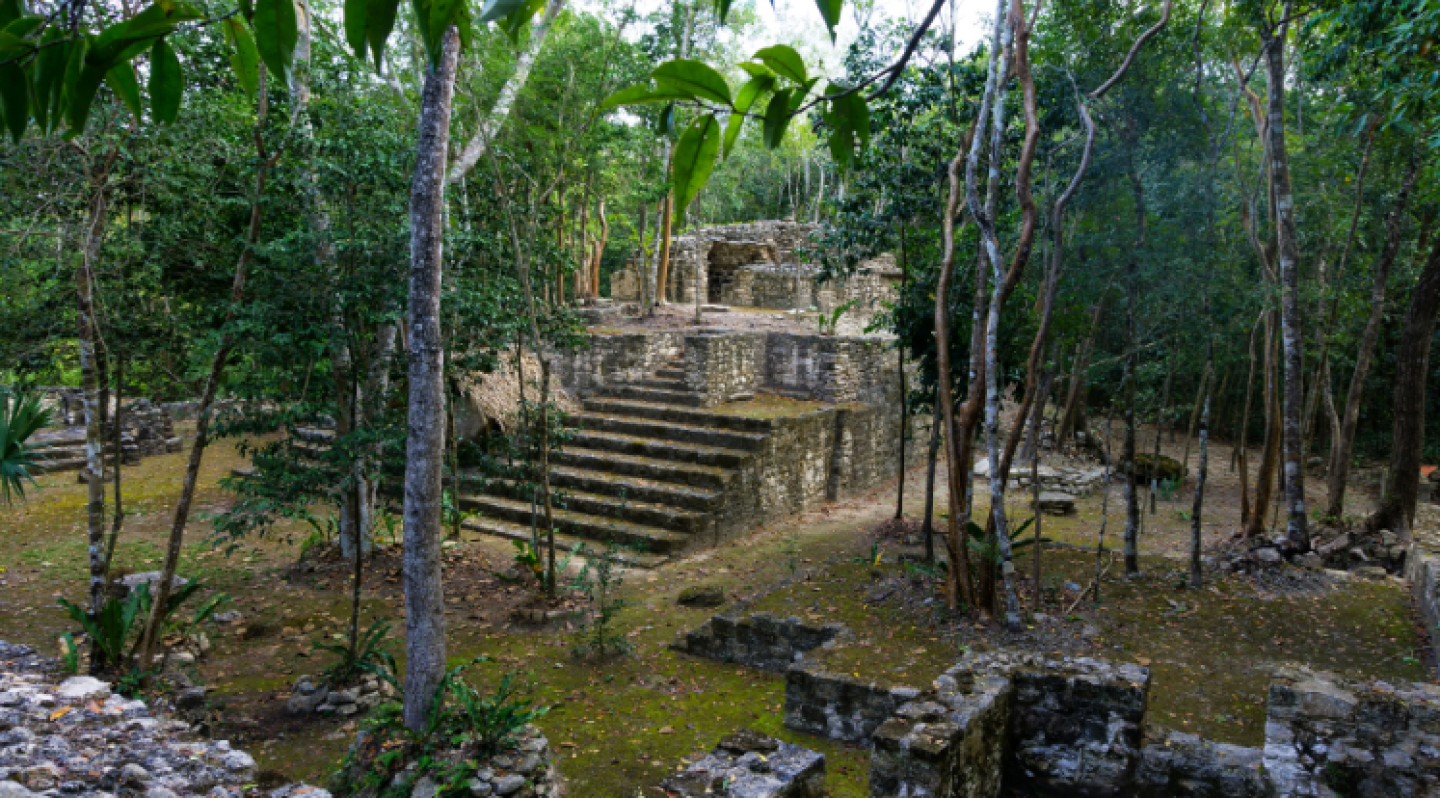 virus-selva maya