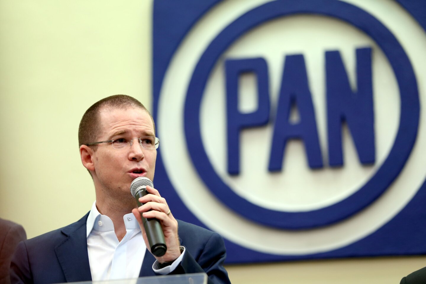 RICARDO ANAYA BUSCARA DIALOGO EN POS DE UNIDAD PANISTA PARA 2018