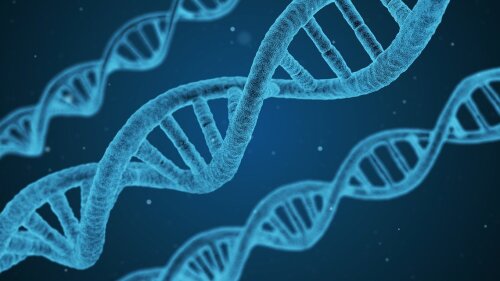 biotecnología