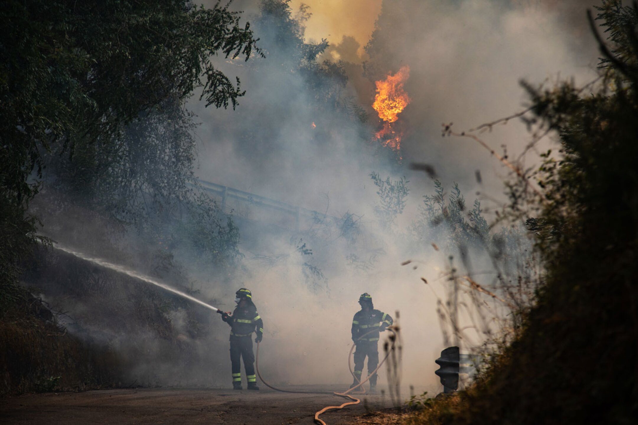 europa-ola-de-calor-incendios-cambio-climatico-6