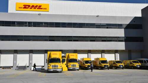 dhl-perro-veracruz