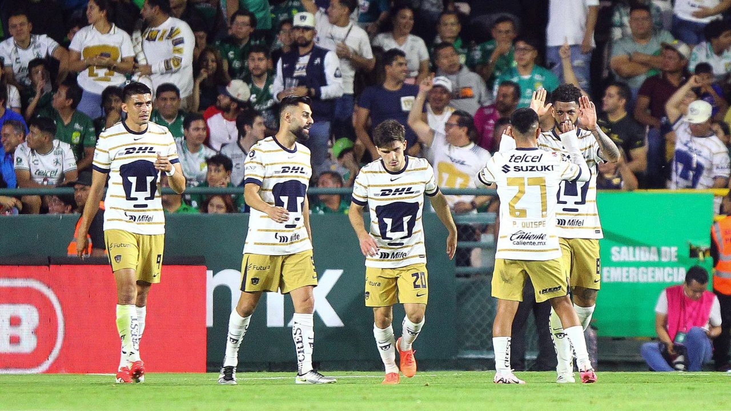vancouver_pumas.jpg