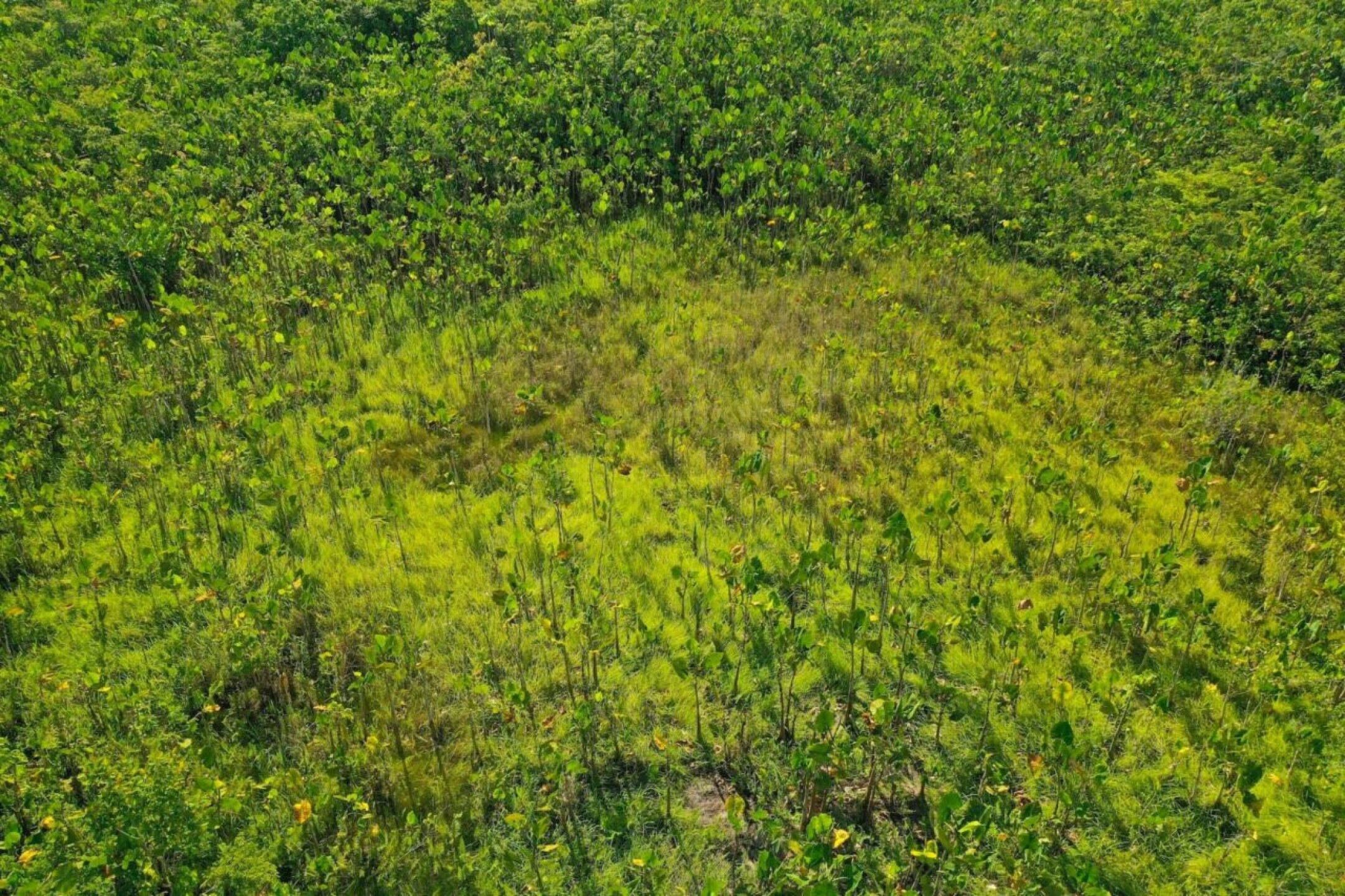 Parque-Nacional-Natural-Amacayacu-2-1280x853