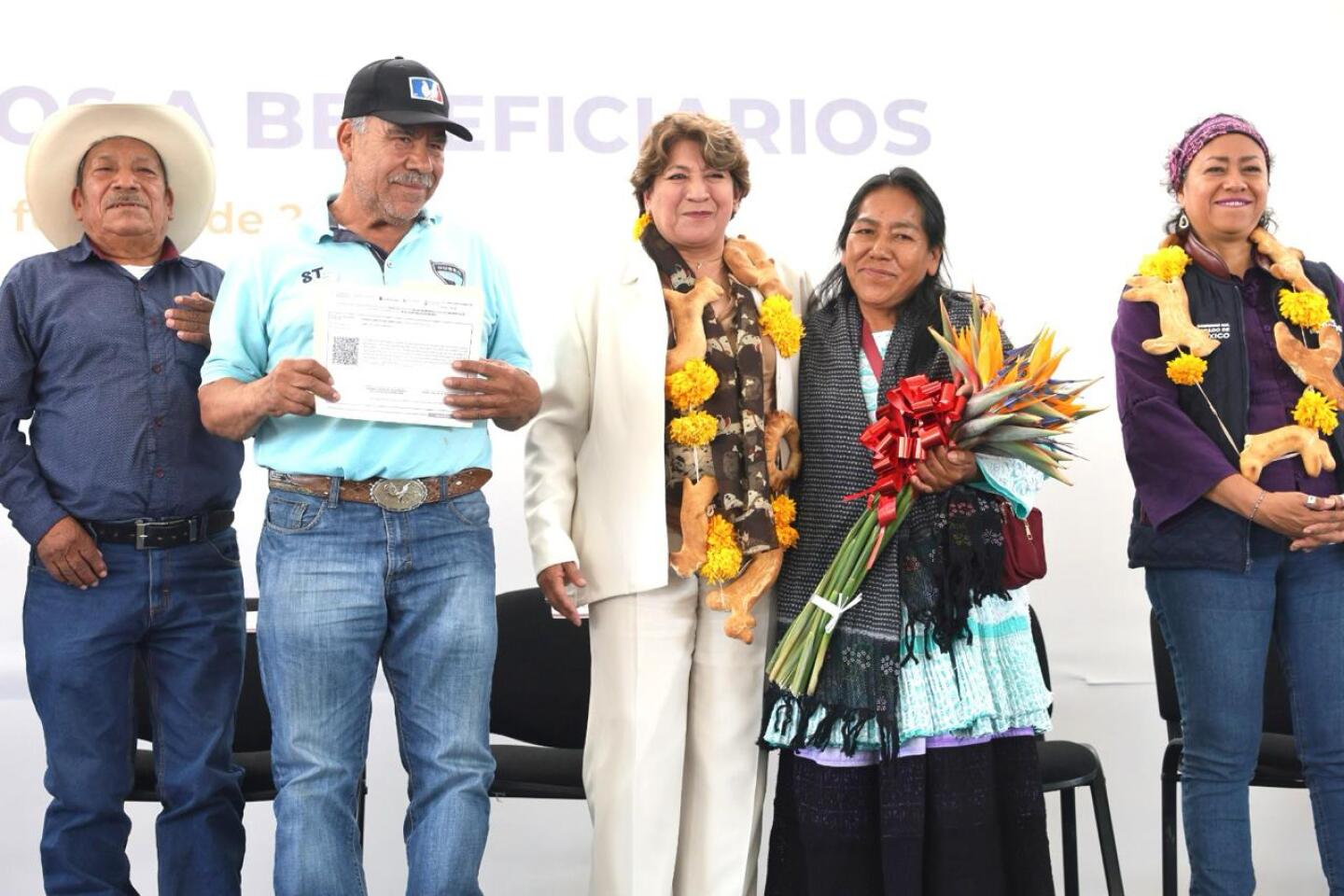Delfina fertilizantes