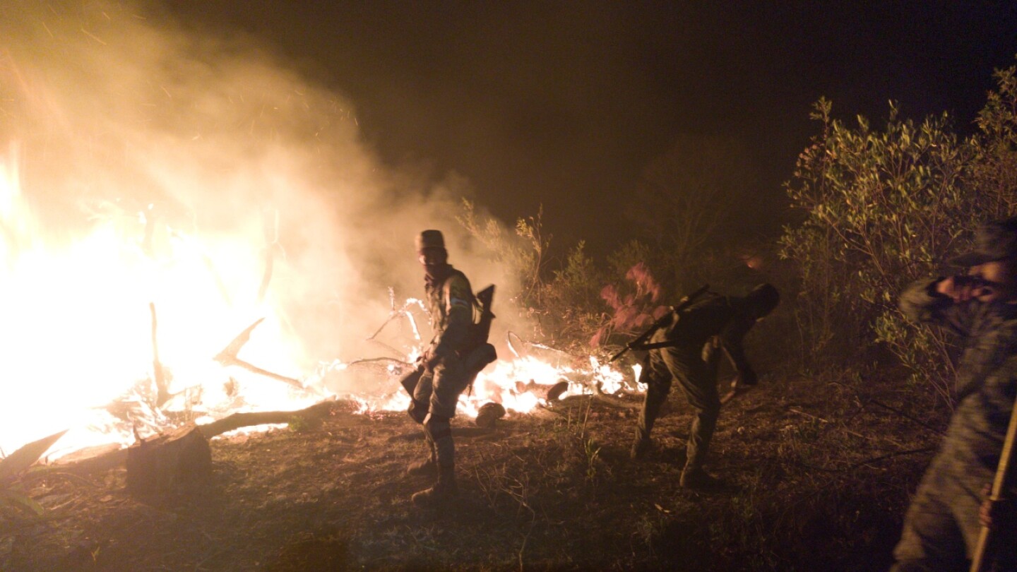 incendio bosque la primavera (1)