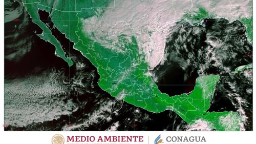 El viento se vuela los mejores memes