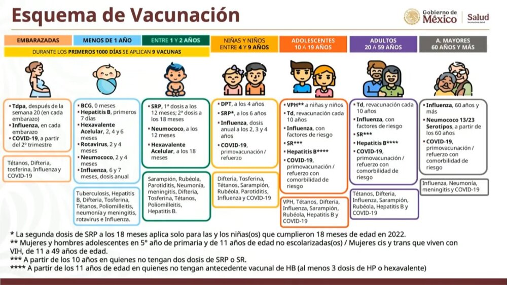 saramión y tos ferina3.jpg