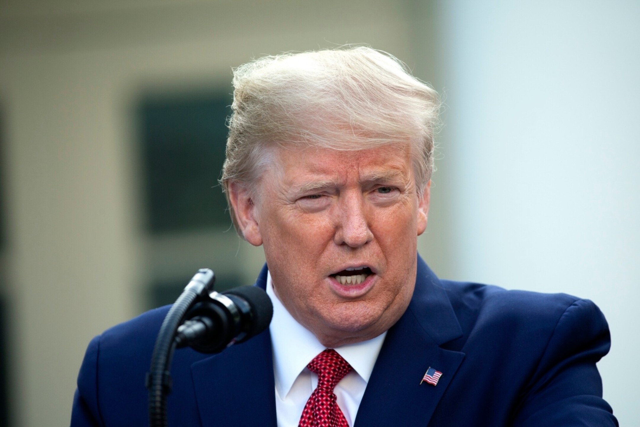 donald-trump-seguidores-detencion-investigacion-eu-detenido