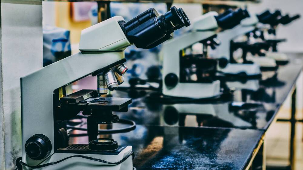 ciencia neoliberal(1).jpg