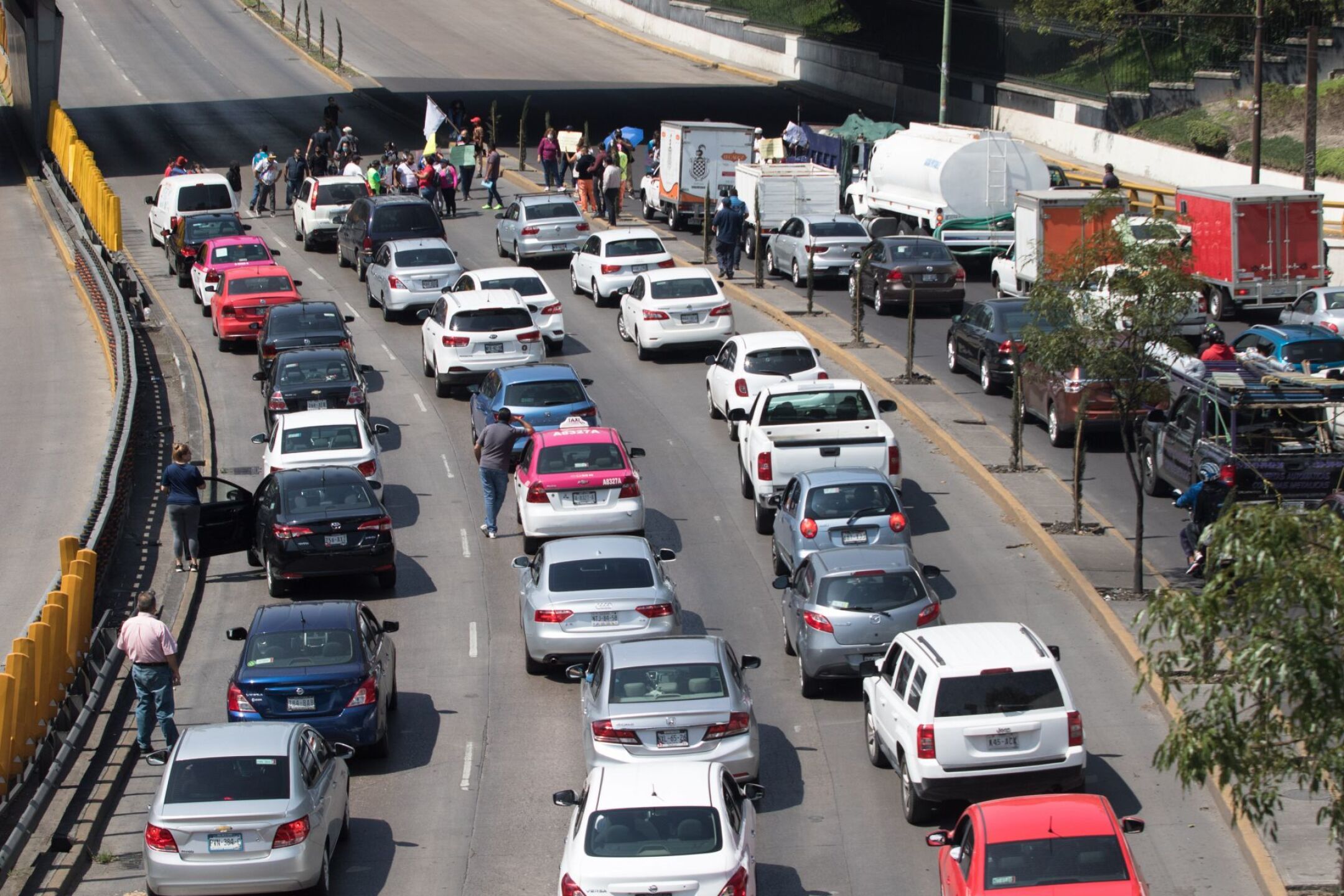 planea tu ruta Protesta Bosques Urbanos-6.jpg