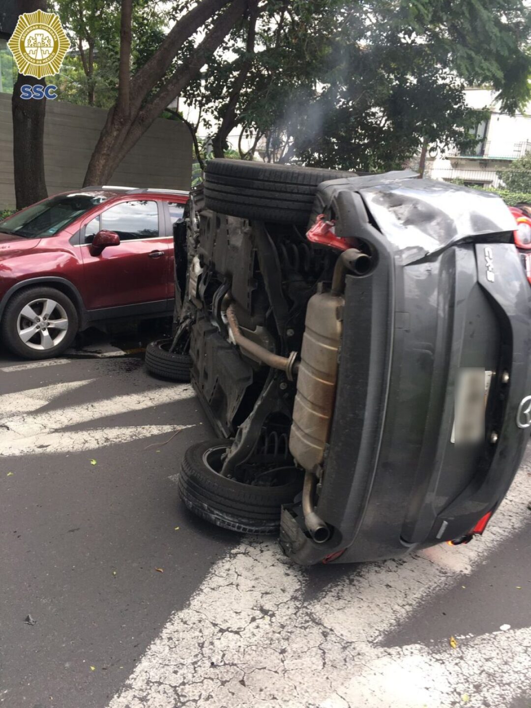 WhatsApp-Image-2024-08-22-at-4.31.16-PM-1-960x1280