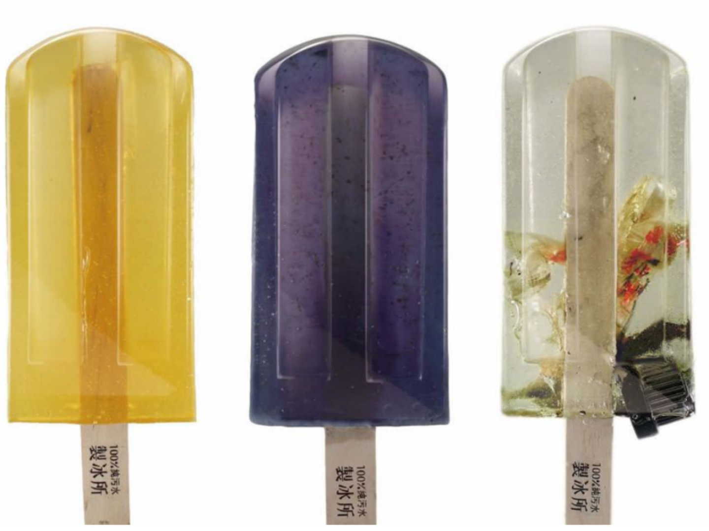 paletas