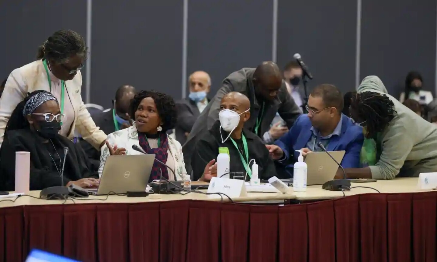 cop15_medio_ambiente_onu