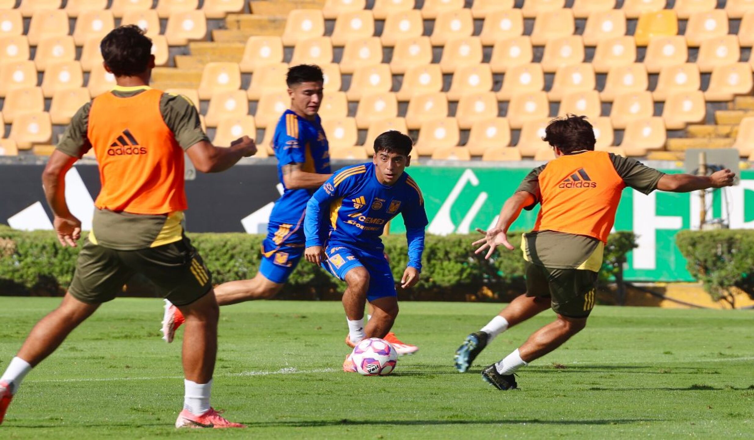 chicha-sanchez-tigres-liga-mx.jpg