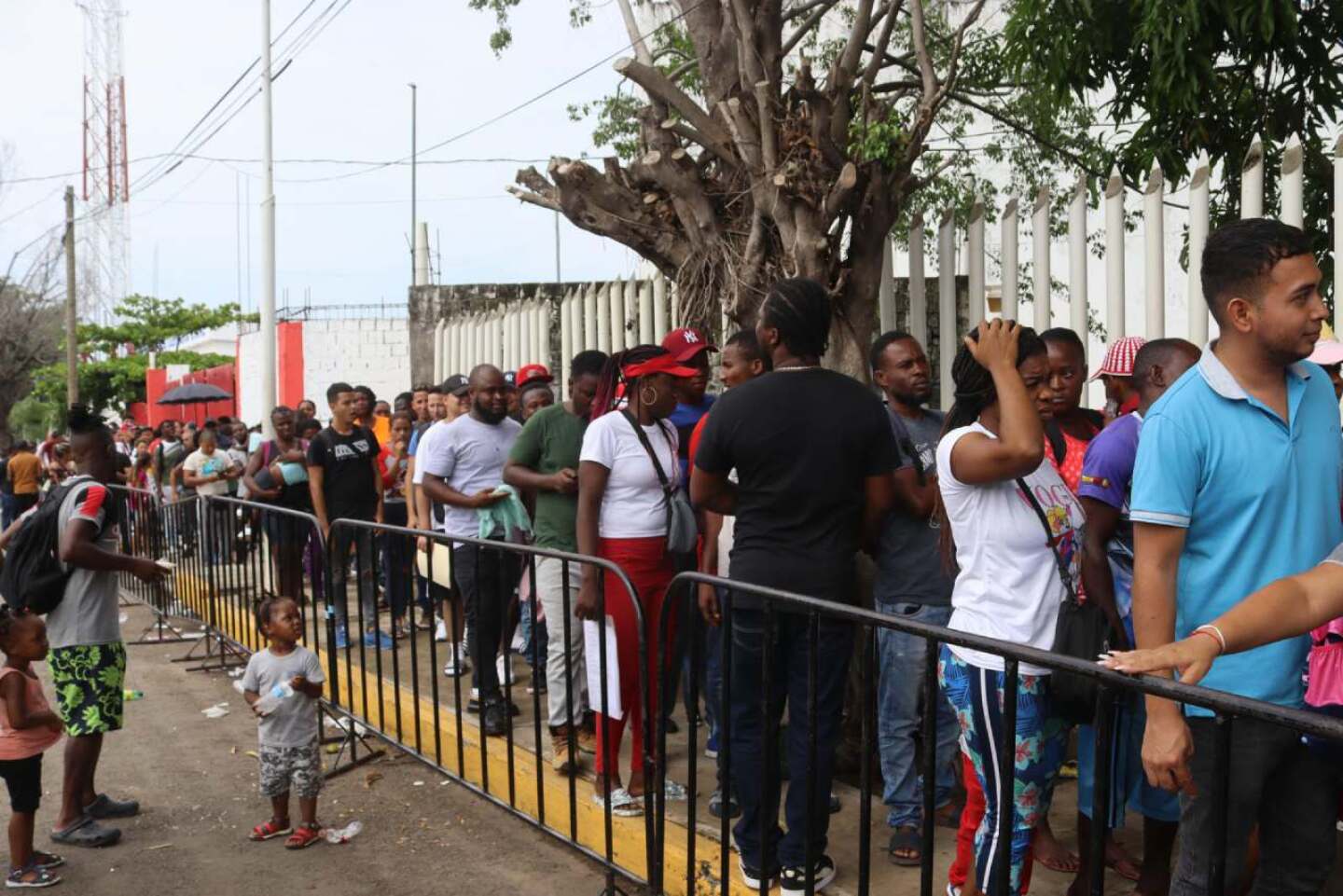 migrantes