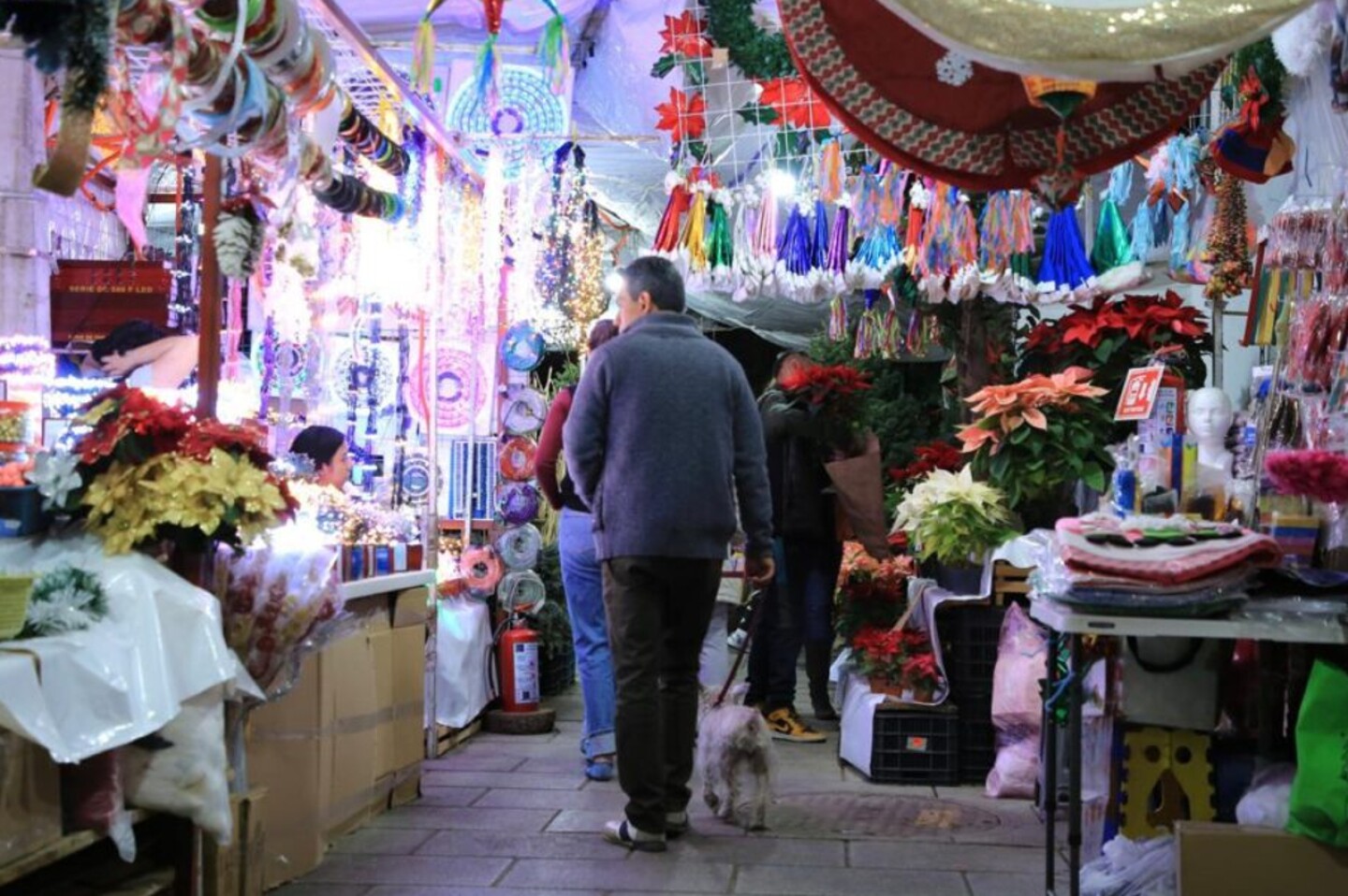 romerias-benito-juarez-donde-quedan-los-mercados