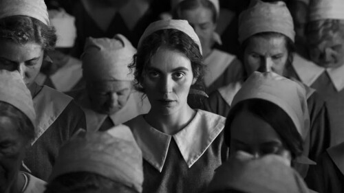 la chica de la aguja pelicula.jpeg