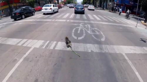 Captura de pantalla 2017-06-20 a las 8.32.59 p.m.