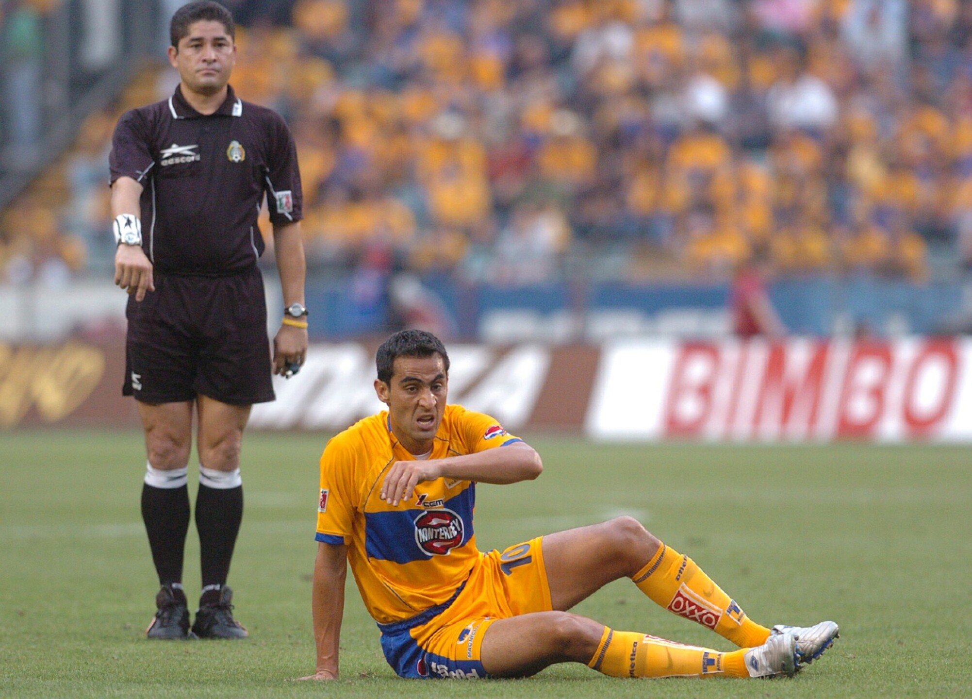 walter-gaitan